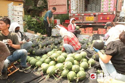 吃瓜前线叫什么,揭秘娱乐圈幕后真相