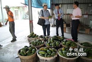 台湾吃大陆瓜,台湾民众热议大陆美食文化
